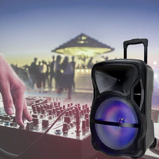 35W RECHARGEABLE TROLLEY SPEAKER WITH WIRED MICROPHONE-RF-RGB (12inch)