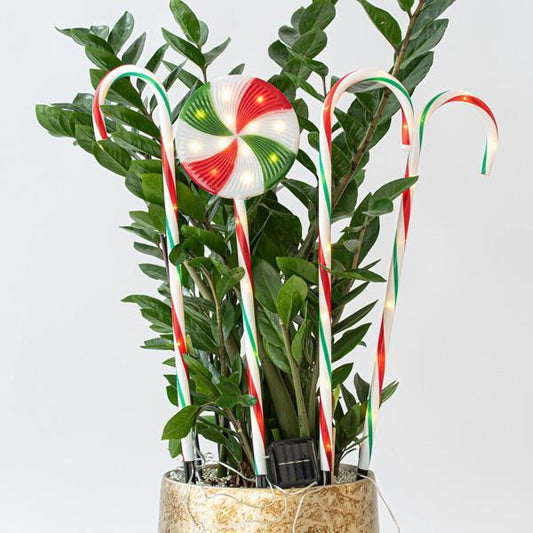 LINE PLASTIC CANDIES, MULTI, 40 WARM WHITE LED, WITH MULTIFUNCTION, SOLAR, 4PCS, PER 50CM,IP44