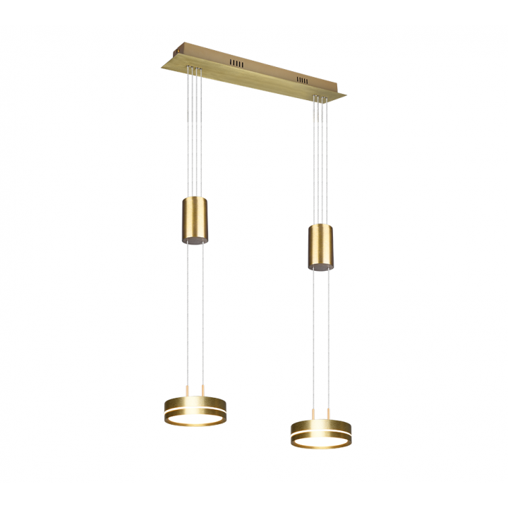 Pendant LED Lamp 2x9W Aluminum