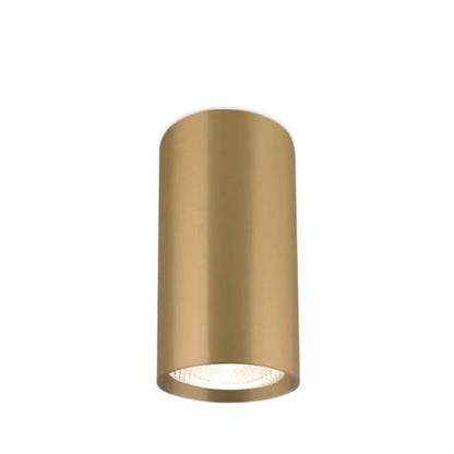 LED Ceiling Spot GU10 Gama 10cm